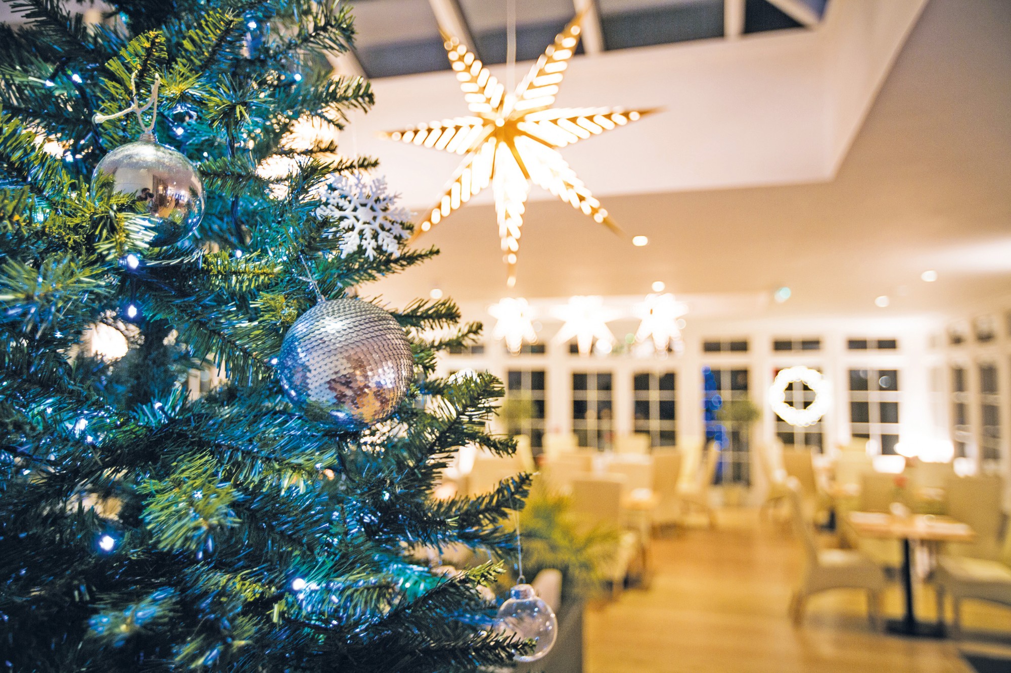 Orangery at Christmas.jpg